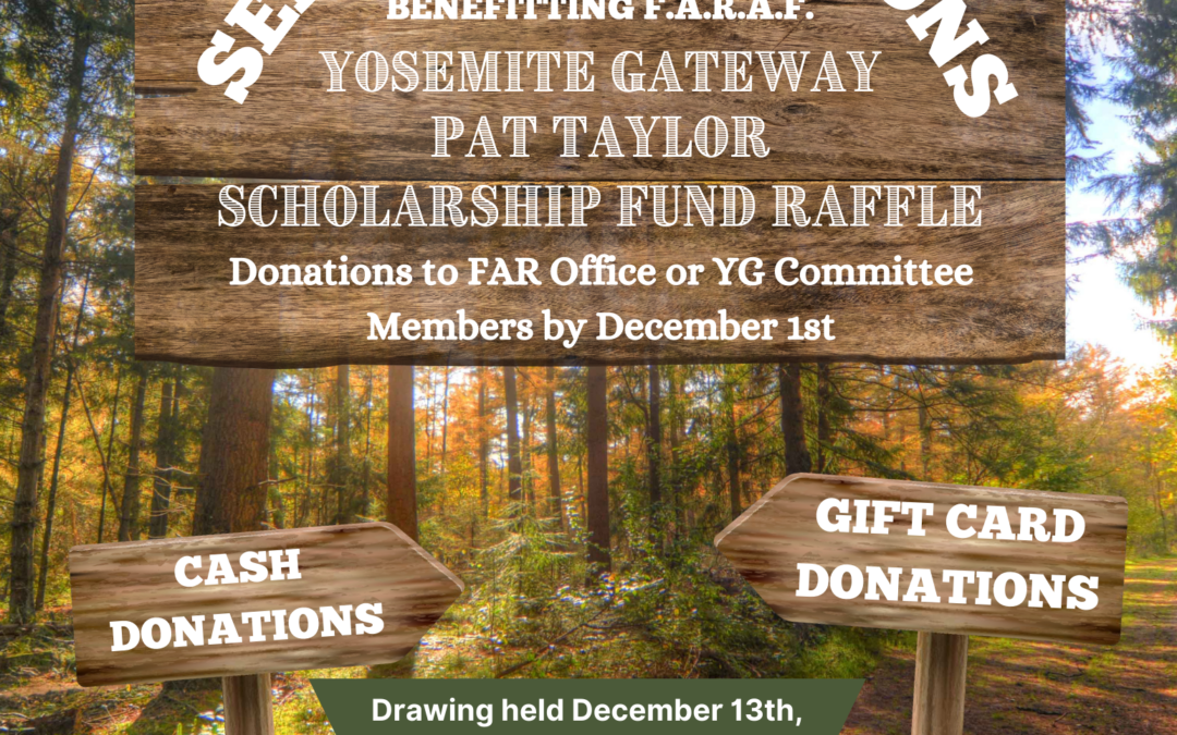 Seeking Donations Benefitting Pat Taylor Scholarship Fund Raffle 12.13.23